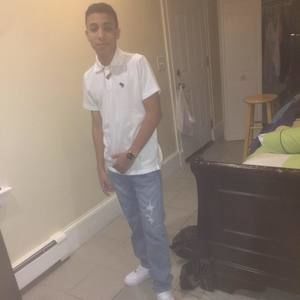 Meet your Posher, Wilbert